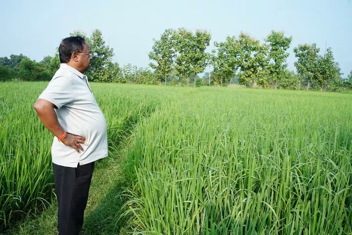 कृषि मंत्री रामविचार नेताम ने गृह ग्राम सनावल में किया खेतों का निरीक्षण, किसान के रूप में जताया गर्व…